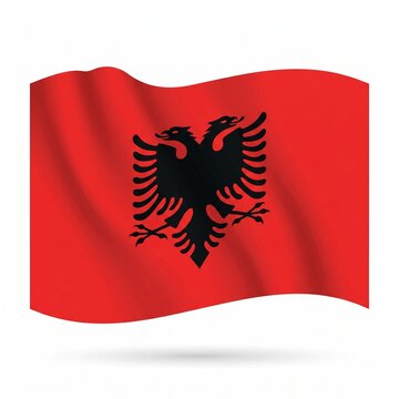 Albania flag vector illustration on white background