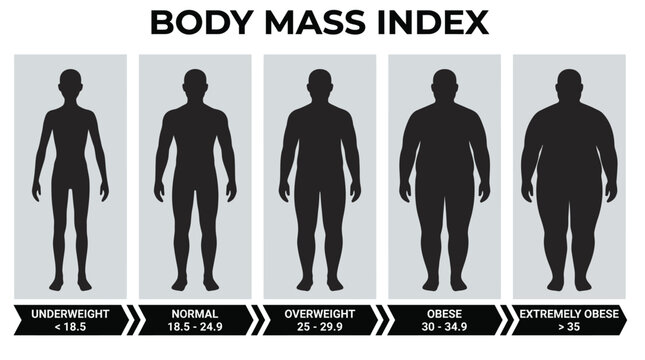 Detailed vector illustration showing various human body silhouettes representing different body mass index health categories