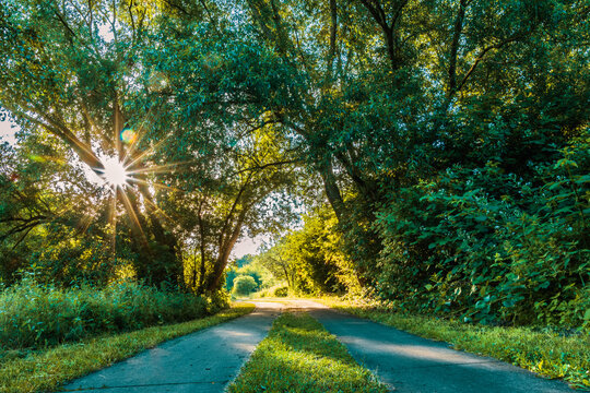 Sonnenstern &uuml;ber dem Wuhle Wanderweg.