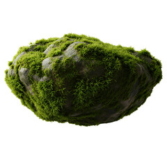 Obraz premium Moss covered rock on white background