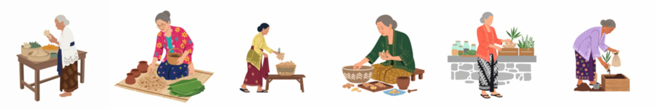 Collection of illustrations showing elderly Indonesian women in traditional attire planting and processing ginger for herbal medicine against a white background.