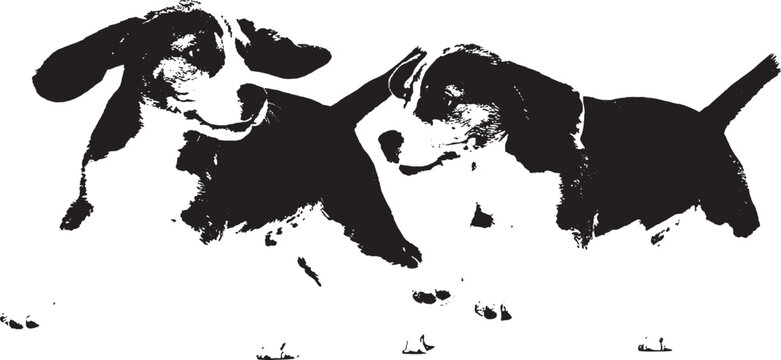 Two cute beagle puppies playing and running together in a fun and energetic silhouette style graphic illustration isolated on transparent background, Vector