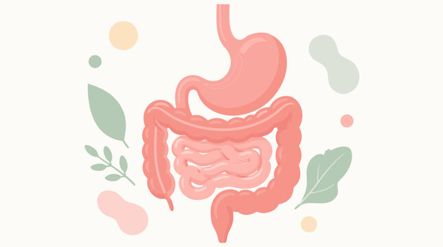 Abstract graphic of a healthy human digestive system featuring a stomach, flat vector illustration on a clean light background, symbolizing wellness, internal health, and medical care concepts.