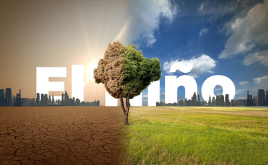 El Niño concept of weather phenomenon cause drought and Dry cracked soil. El Niño Concept of change climate. Climate pattern the unusual warming of surface water eastern tropical Pacific Ocean. © DOERS