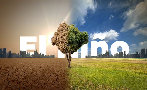 El Ni&ntilde;o concept of weather phenomenon cause drought and Dry cracked soil. El Ni&ntilde;o Concept of change climate. Climate pattern the unusual warming of surface water eastern tropical Pacific Ocean.