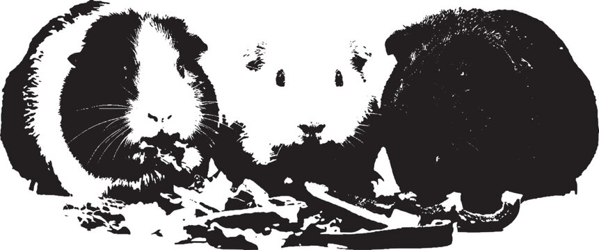 Black and white silhouette illustration of a cute guinea pig eating fresh vegetable food isolated on transparent background, Vector