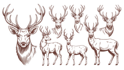 Group of reindeer running across snowy forest landscape during winter season Vector © MD siddik
