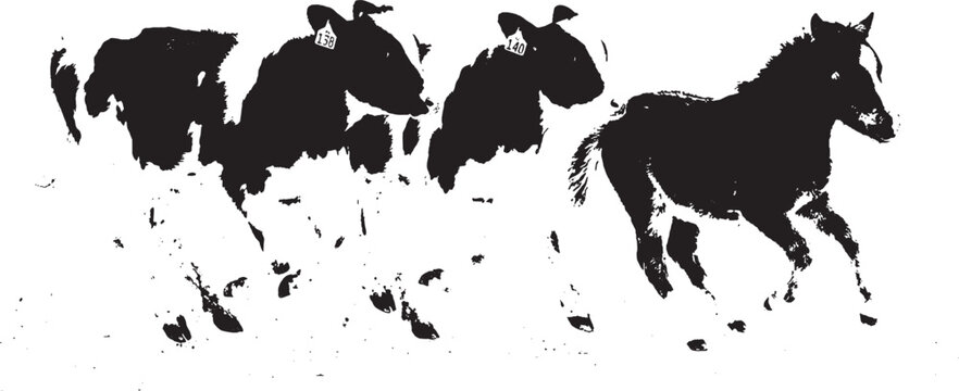 Black silhouette of a small herd of horses running fast in a group isolated on transparent background, Vector