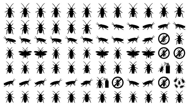 Cockroach Pest Silhouette Collection with Black Insect Icons and Educational Vector Graphics