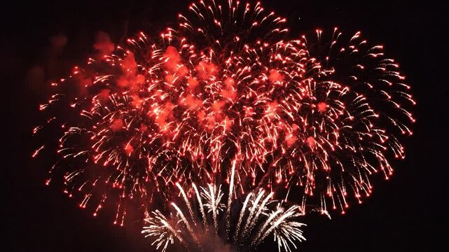 Bright red and white fireworks exploding in the night sky during a summer holiday celebration