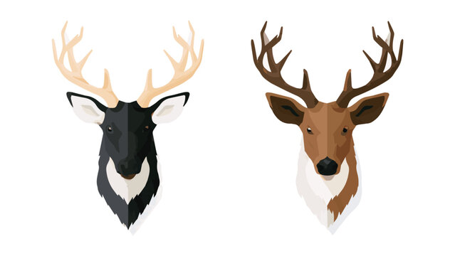 Two Deer Heads with Antlers Isolated on White.