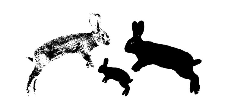 Black and white silhouette illustration of three jumping rabbits and hares in motion isolated on transparent background, Vector