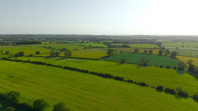 Patchwork countryside fields under spring sunshine covering rolling agricultural terrain. Tree lined field divisions shaping traditional rural landscape while green meadows spreading across fertile