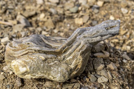 Interesting shaped rock with salt on it at the Dead Sea in Israel.
