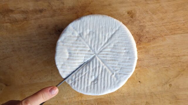 Top view of a person cutting a wheel of traditional white goat cheese on a rustic wooden board, gourmet food preparation and artisan cheese making concept in a Mediterranean kitchen