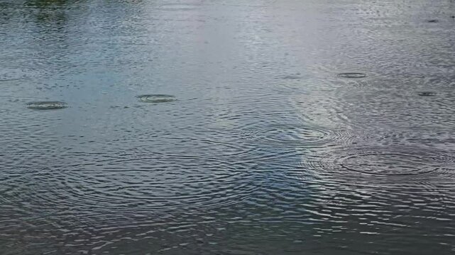 Slow motion close shot of light drizzle drops creating concentric ripple circles on grey calm water surface, overcast sky reflected, atmospheric nature background footage