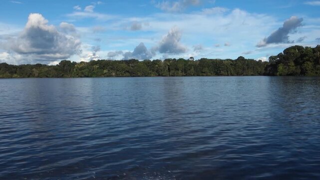 Beautiful scenery during boat trip on Juma River, Amazon rainforest, northern Brazil