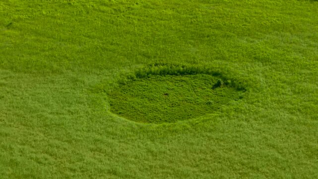 Crop circle mystery emerging within lush green meadow. Aerial countryside landscape suggesting alien contact unexplained phenomenon and paranormal intrigue. Circular ground formation inspiring UFO