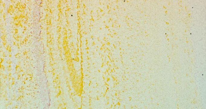 Hand marbled 35mm film with a mixture of strong yellows and reds along with faint pastels.