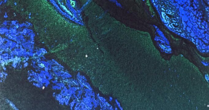 Hand marbled 35mm film with strong blue and green inverted colors.
