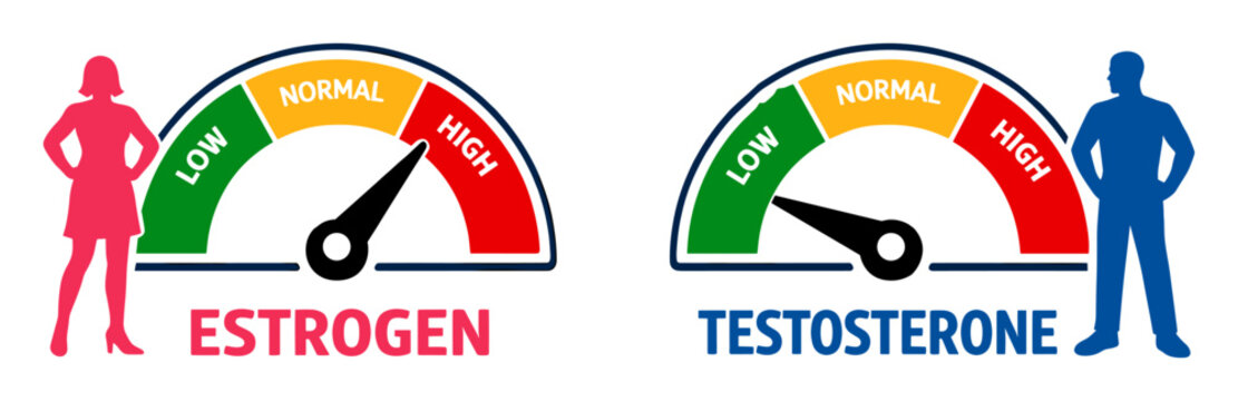 Understanding sex hormone balance, visual meters display high estrogen in women and low testosterone in men for medical health