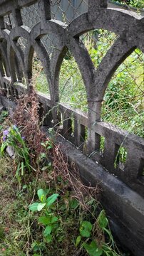 A cinematic 4K 24fps panning shot of an old textured concrete fence overgrown with wild grass. Fast camera movement creates realistic motion blur, capturing a gritty, rural summer atmosphere.
