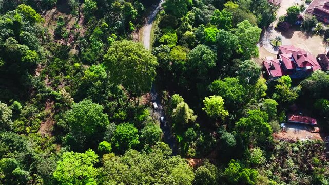 bird eye view of vehicles moving on narrow road with surround greenery and countryside houses at mukkodlu, coorg, Madikeri, karnataka, india. day time, trucking shot, top down shot, drone shot, 4k.