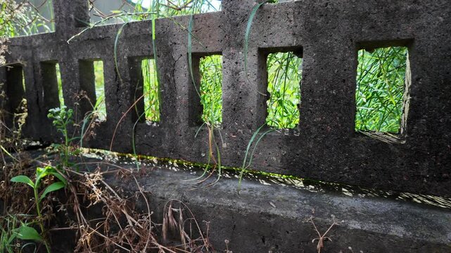 A cinematic 4K 24fps panning shot of an old textured concrete fence overgrown with wild grass. Fast camera movement creates realistic motion blur, capturing a gritty, rural summer atmosphere.