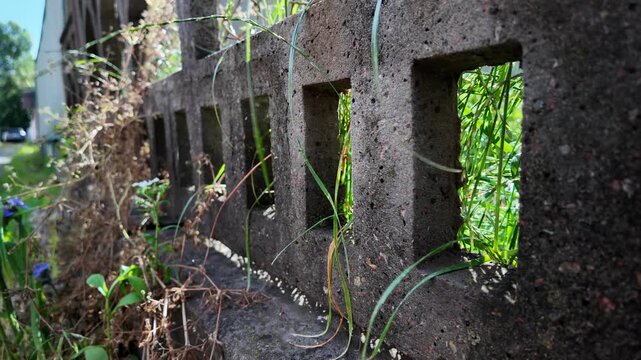 A cinematic 4K 24fps panning shot of an old textured concrete fence overgrown with wild grass. Fast camera movement creates realistic motion blur, capturing a gritty, rural summer atmosphere.
