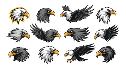 Fototapeta premium Dynamic collection of eagle and hawk illustrations in mascot style featuring powerful head portraits and flying poses for branding.
