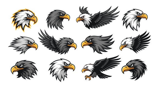 Dynamic collection of eagle and hawk illustrations in mascot style featuring powerful head portraits and flying poses for branding.