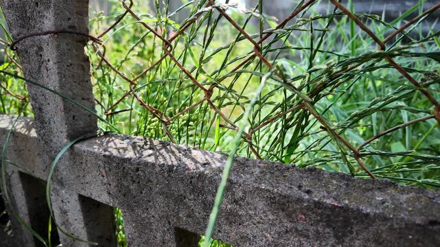 A cinematic 4K 24fps panning shot of an old textured concrete fence overgrown with wild grass. Fast camera movement creates realistic motion blur, capturing a gritty, rural summer atmosphere.