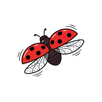 A cute red ladybug flying on a plain white background