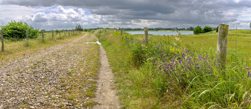 Rural road in Negenoord protected area along the Meuse river near Dilsen-Stokkem, Belgium, designed for water storage and nature restoration