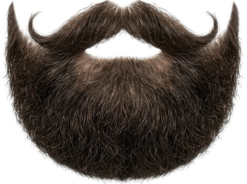 A full well groomed beard and mustache with neatly curled ends showcasing rich brown hair texture and detailed strands facial hair grooming male man style fashion facial styled