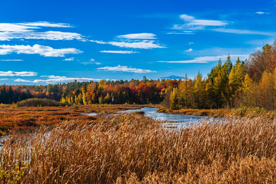 Vibrant autumn landscape with colorful trees and a serene river under a bright blue sky.