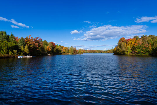 Serene lake surrounded by colorful autumn trees under a clear blue sky with fluffy clouds.