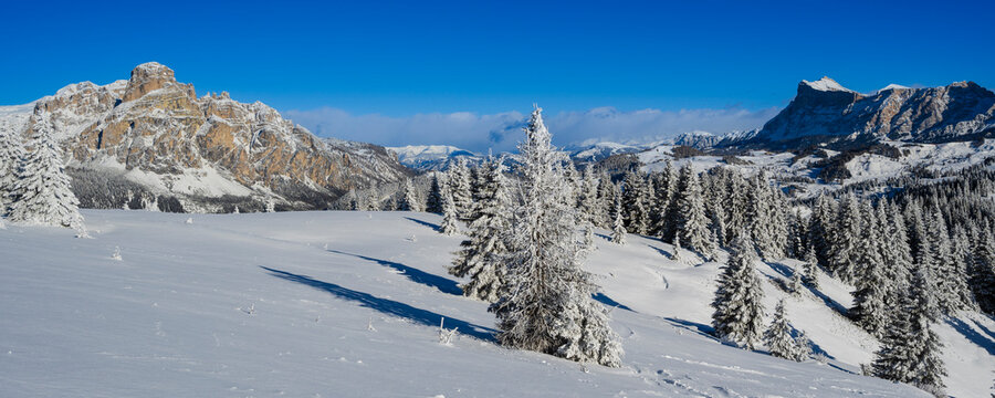 Snow-covered landscape with pine trees and mountains under a clear blue sky.