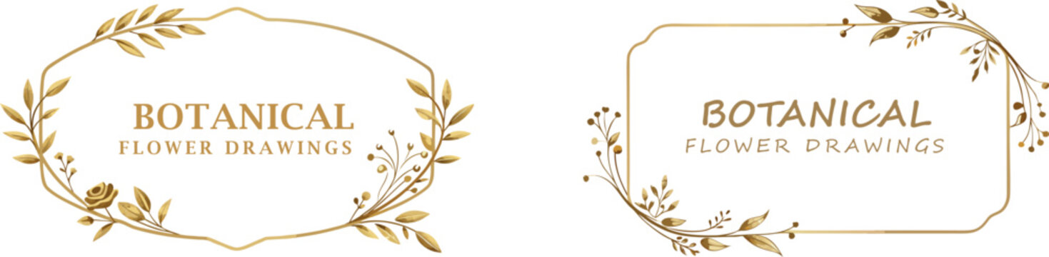 Botanical flower drawings with leaf wreaths