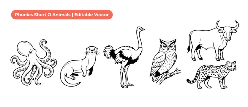 Short O phonics animals vector set for kids educational coloring activities, featuring black line art of octopus, otter, ostrich, owl, ox, ocelot clip art illustrations isolated on white background.