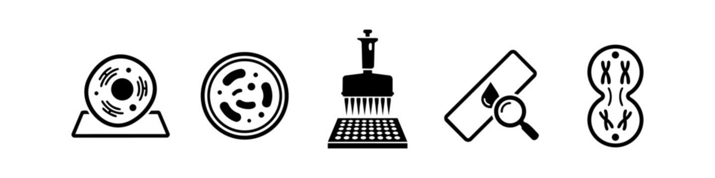 Set of scientific laboratory icons featuring a cell, petri dish with bacteria, multichannel pipette, microscope slide, and chromosomes in cell division. Minimalist black and white vector design.