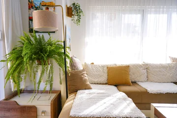 Bright, sunlit living room corner with a comfortable brown sofa, decorative pillows, floor lamp, and a large green fern plant. Cozy nature inspired apartment interior design. © Laura Pashkevich