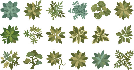 Fototapeta premium Botanical Leaf Collection Set with Succulent Rosettes and Decorative Green Foliage Vector Illustrations for Nature Design Projects