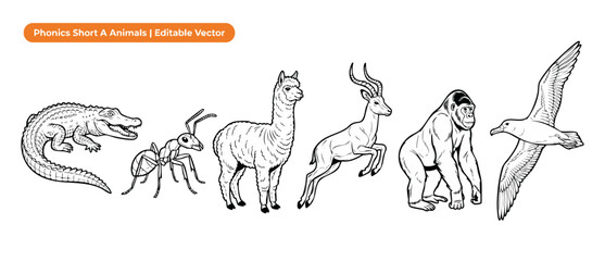 Fototapeta premium Animal vector line art set with alligator, ant, alpaca, and antelope, educational phonics alphabet clipart collection for kids coloring book, school worksheets, and learning activities illustration.