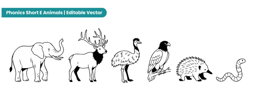 Animal vector line art set featuring elephant, elk, emu, eagle, echidna, and worm for phonics education. Minimalist black and white outline drawings designed for coloring books and preschool worksheet