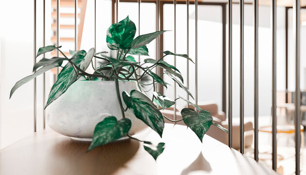 Elegant green potted plant on a wooden table in a modern, bright interior.