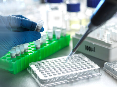 Gloved hands handling vials and a pipette in a laboratory setting with equipment around.