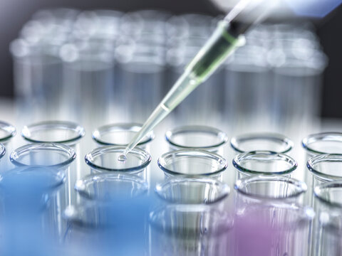 Pipette adding liquid to a row of glass test tubes in a laboratory setting.