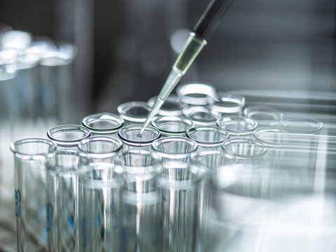 A pipette adds liquid to a row of clear test tubes in a lab setting.