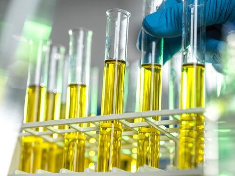 Gloved hand handling yellow liquid-filled test tubes in a laboratory setting.